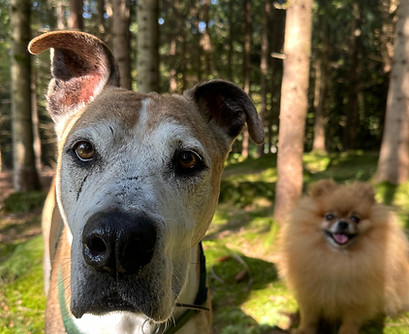 WhatsApp Image 2025-11-24 at 20.45.19 (1).jpeg