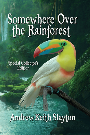 1-AS_HARDCOVER_COLOR_v002-2 copy-1.png