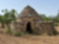 IMG_0538.JPEG