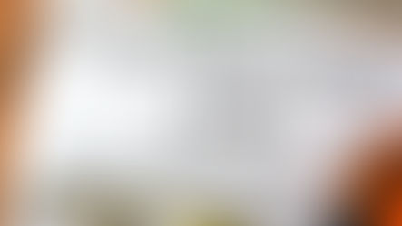 Smart Financing Options for Your Fencing Project