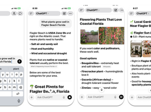 How the E-Commerce Connect Program Strengthens GEO for Garden Centers