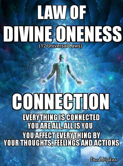 Universal Laws Oneness