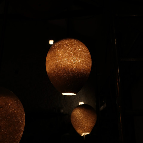 DSCF2484.JPG