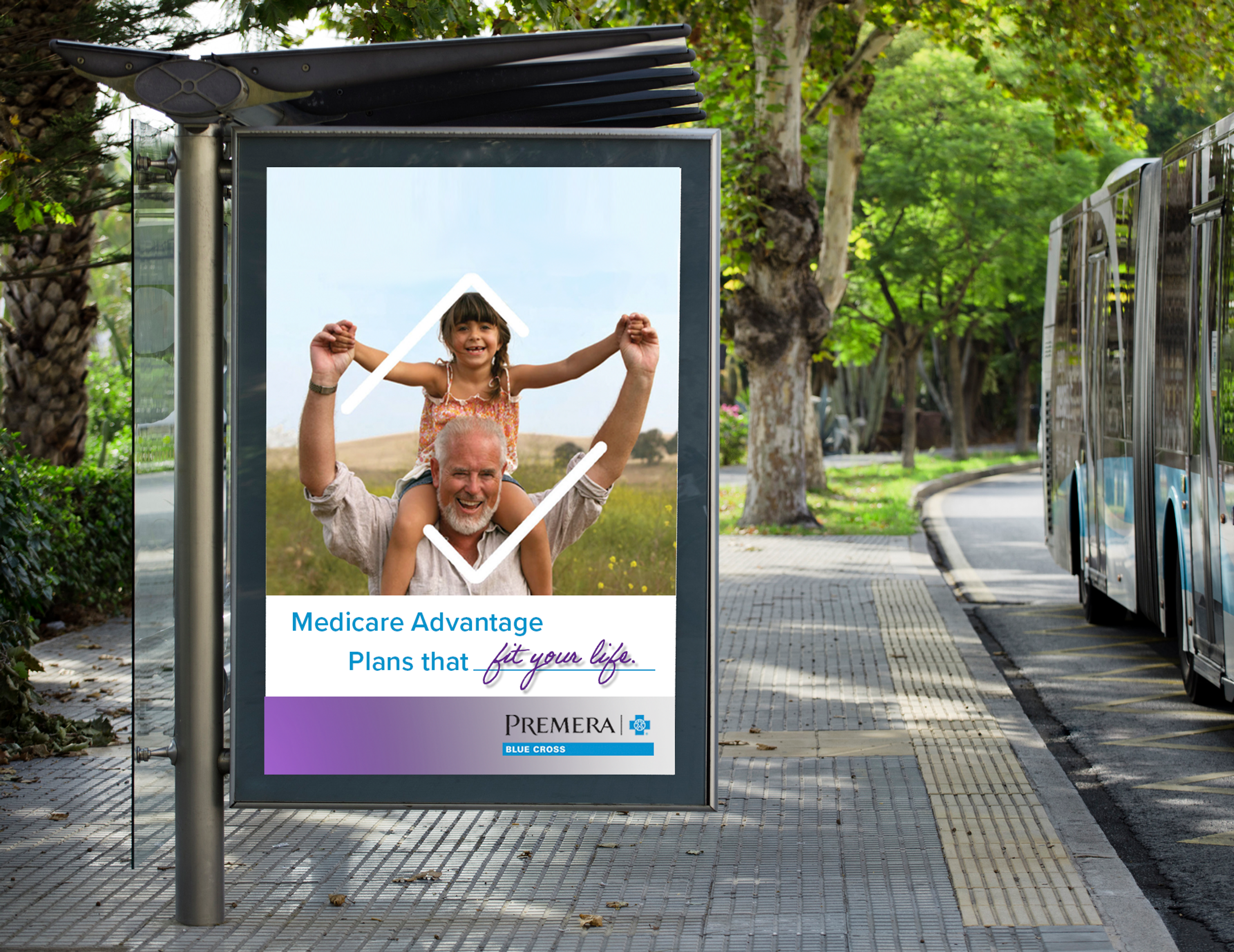 Premera Healthcare Multimedia Strategies: SKN Designs