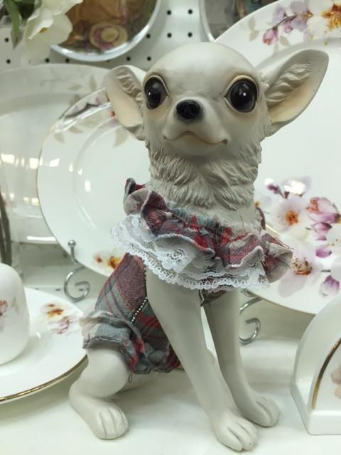 Собачка Чи-Хуа-Хуа