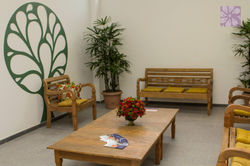 INSTITUTO ESTADUAL DO CÉREBRO