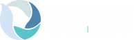 KINGS WHITE LOGO