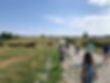 IMG_4490.jpeg