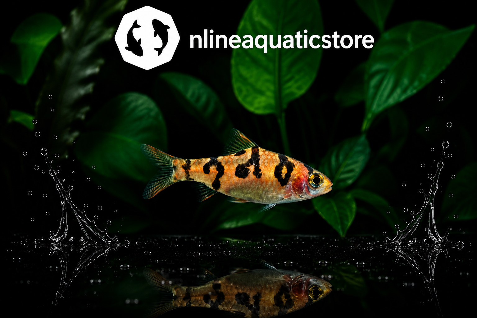 Snakeskin Barb