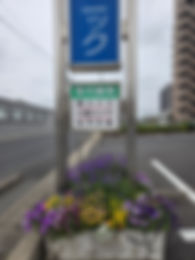 20250511_152533.jpg