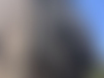 耐震改修工事して、やっぱり安心っと。