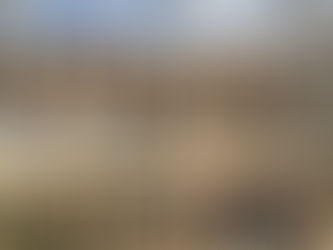 上棟しました。