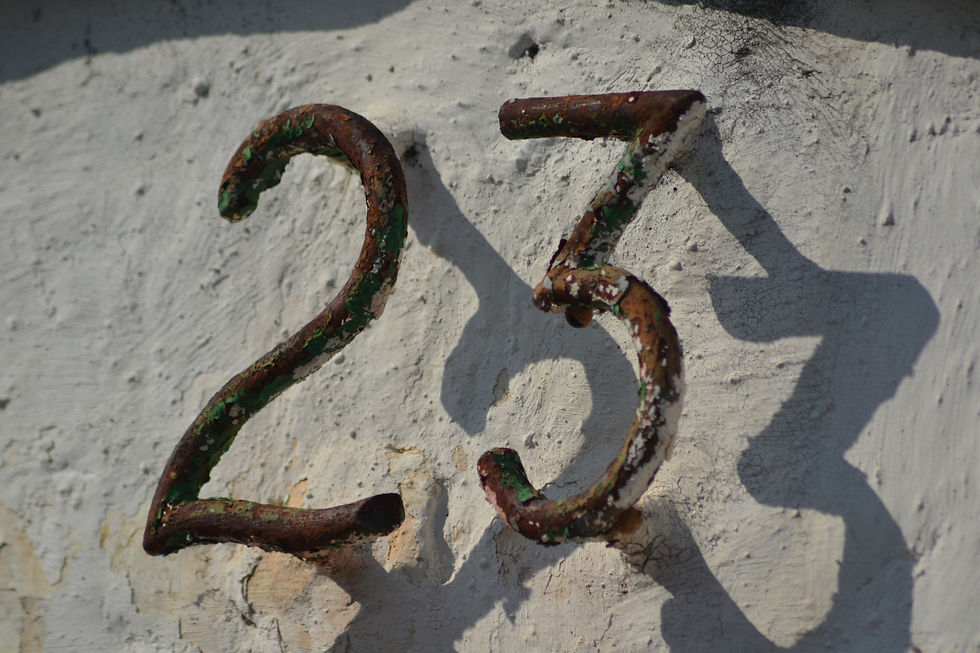 DSC_0498.JPG