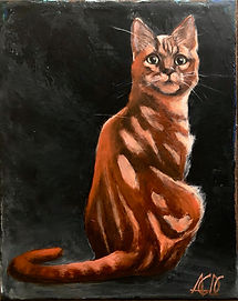 red tabby cat