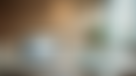 Servicios especializados en SAP: CFL CONSULTING