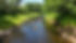 received_1072721690981832.jpeg
