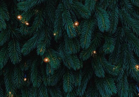 Rituales Navideños 