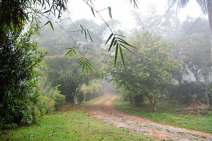 entrance