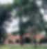 Wayanad Ayurveda Heritage