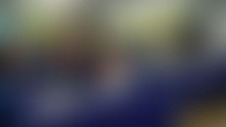 WFWP Europa's årlige Planlegginsmøte