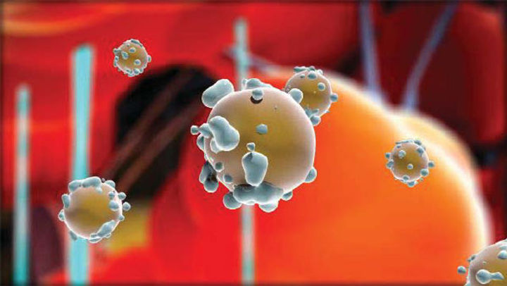 lipofirm-plus-figure-1.jpg