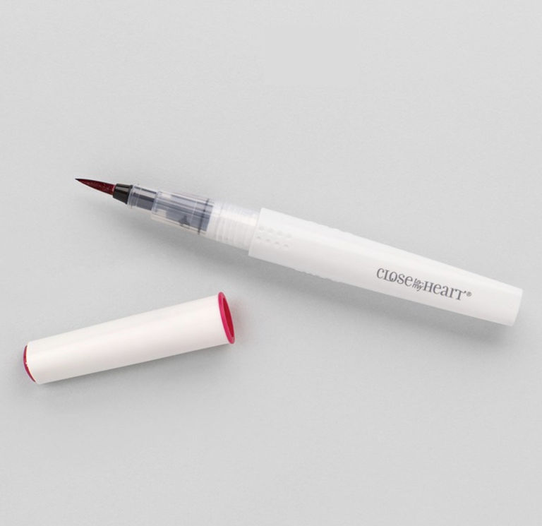 Raspberry Shimmer Brush