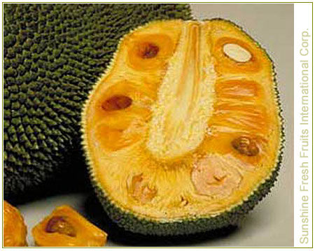 Quality Jackfruit