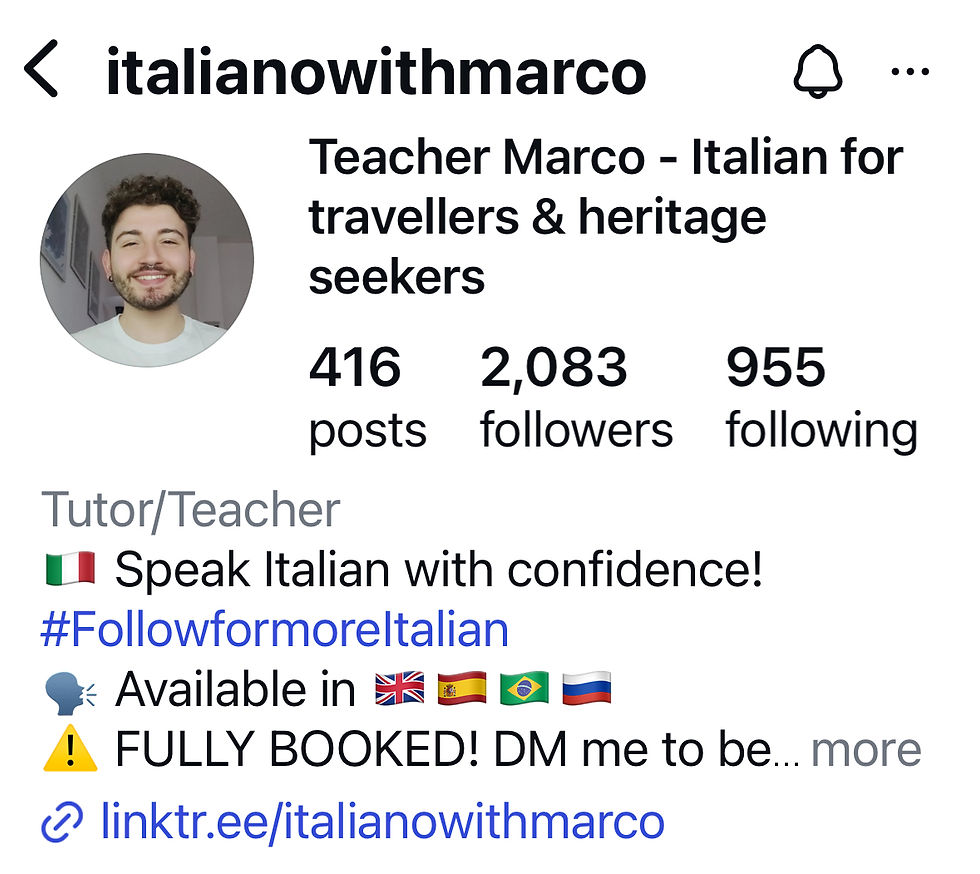 Italiano with Marco Virtual language lessons Italy