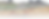 Sargassum transparent.png