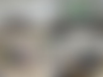 Projeto SPORT ME - Encontro Transnacional em Amposta, na Catalunha