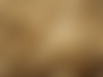 Wheat Rises after Russia Exits Ukrainian Grain Deal