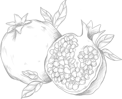Pomgranate.png