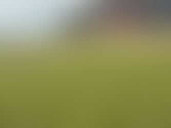 Búið er að opna inn á sumarflatir á holum 1-12