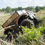 Thumbnail: Barakuda By Shark Robotics