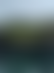 Around Fair Head with Steve for the second time - 3/4 of the way done