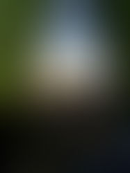 Brandon Creek where Brenden the navigator departed