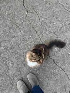 There’s no medicine like your own bed