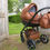 Thumbnail: TRENTO COGNAC ECO SPORT 2 IN 1