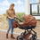 Thumbnail: TRENTO COGNAC ECO SPORT 2 IN 1
