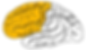 Brain diagram with frontal lobe highlighted from EpilepsyDiagnosis.org.