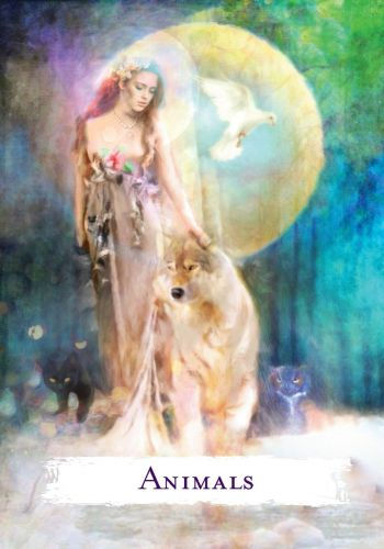 Thumbnail: Spellcasting - Oracle Cards