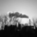 Black and white photo of an old factory, barely visible through a patch of leafless trees, spewing steam into the air.
