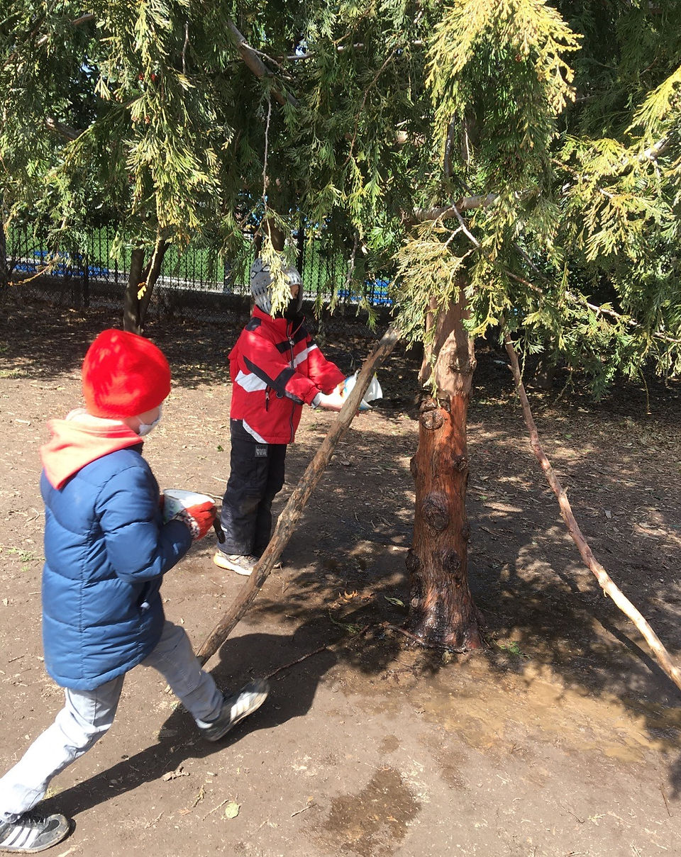Pouring water on the tree