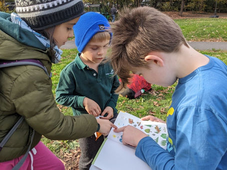 Nature Detectives: playing after school on 11/8/23