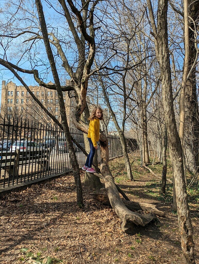 Tree house