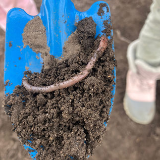 Worms!