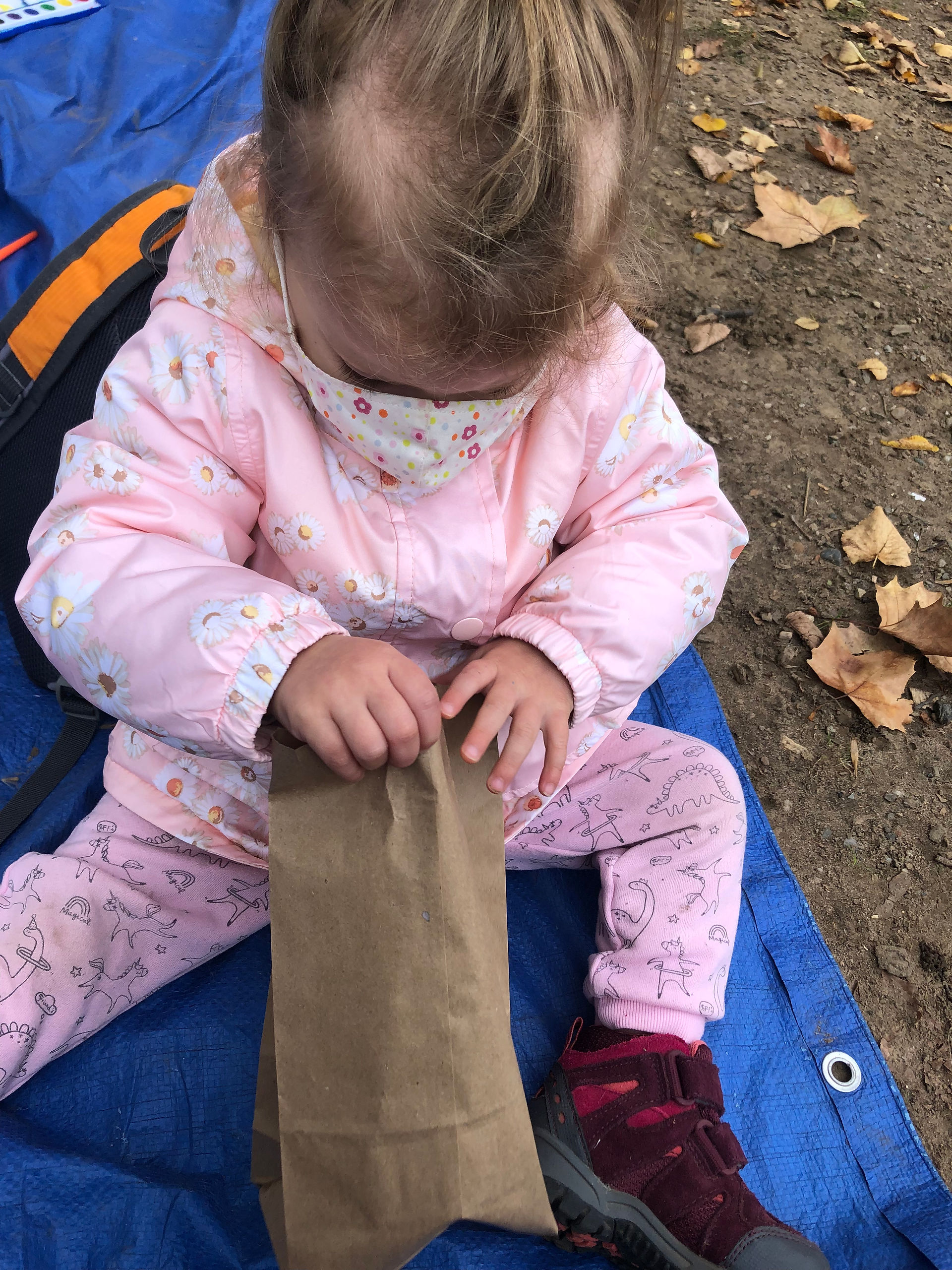 Collecting seeds