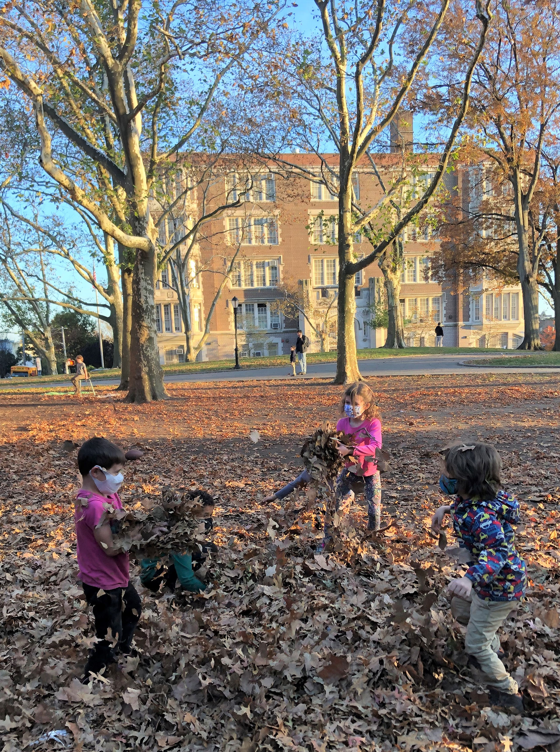 Leaf fight