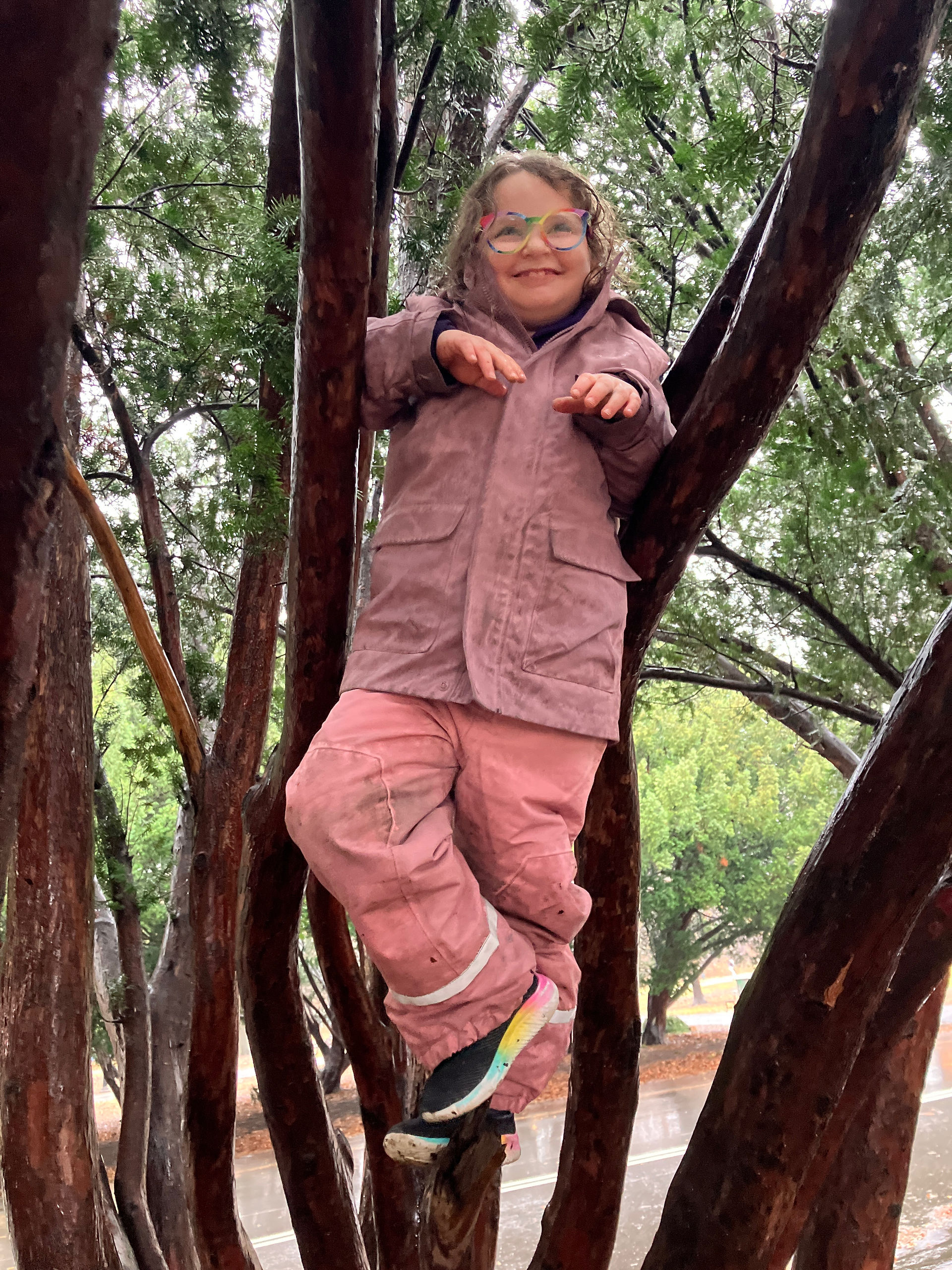 In a rainy tree
