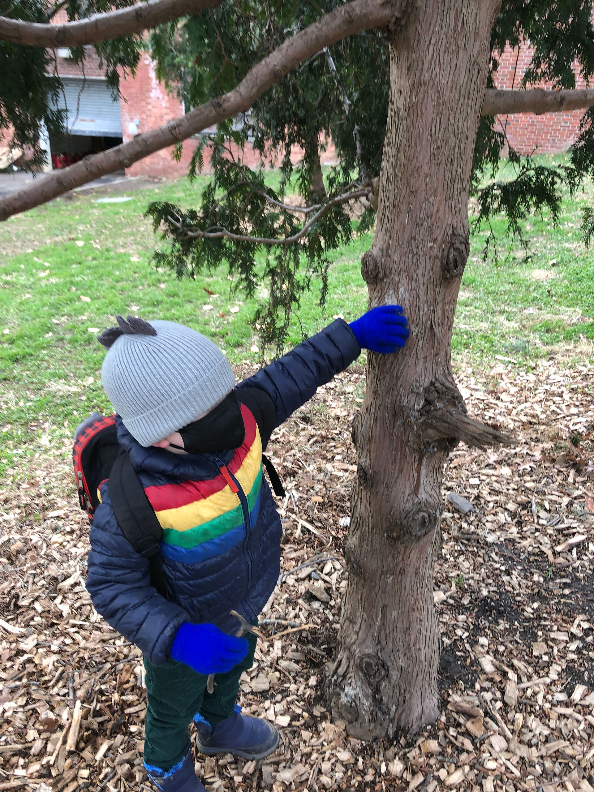 Stick from the magic tree